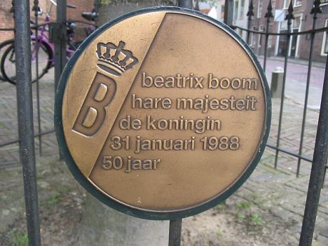 Hekwerk Beatrixboom 